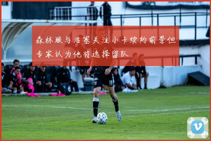 森林狼与活塞关注小卡续约前景但专家认为他将选择留队