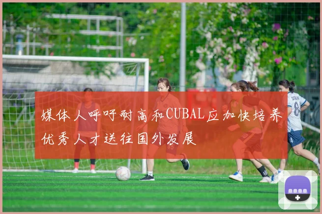 媒体人呼吁耐高和CUBAL应加快培养优秀人才送往国外发展